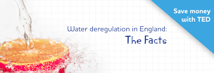 Water deregulation in England: The Facts