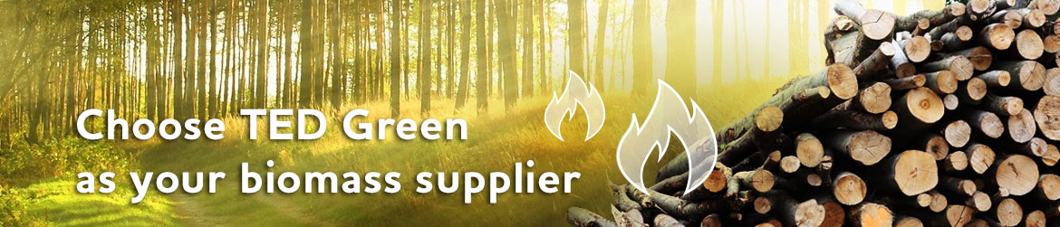 Choose TED Green as your biomass supplier